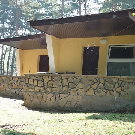 מלון וולשטין Osrodek Wypoczynkowy Jelonek מראה חיצוני תמונה