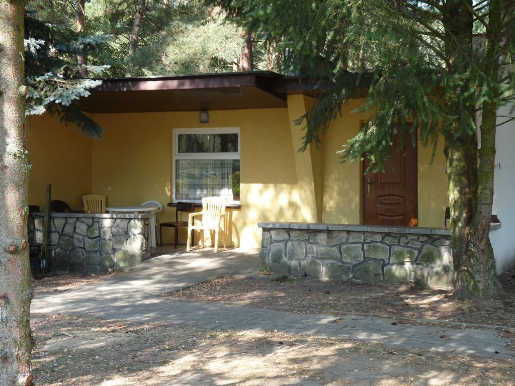 מלון וולשטין Osrodek Wypoczynkowy Jelonek מראה חיצוני תמונה